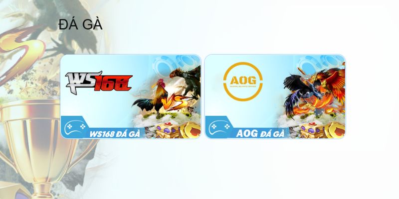 Đặt cược và xem live đá gà trực tiếp tại ww88
